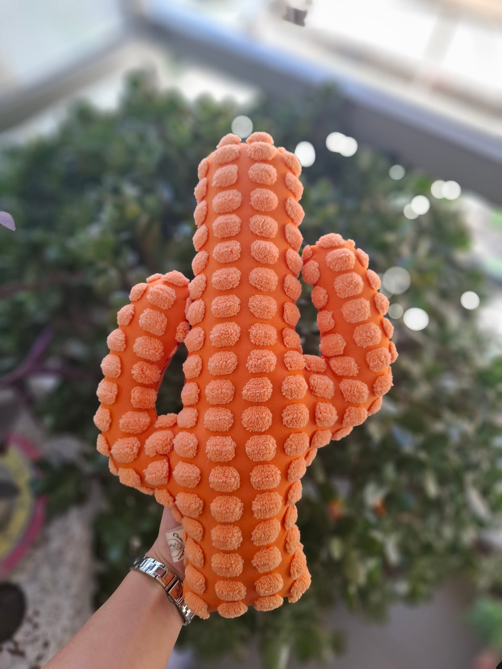 Μαξιλάρι Κάκτος-40 εκ